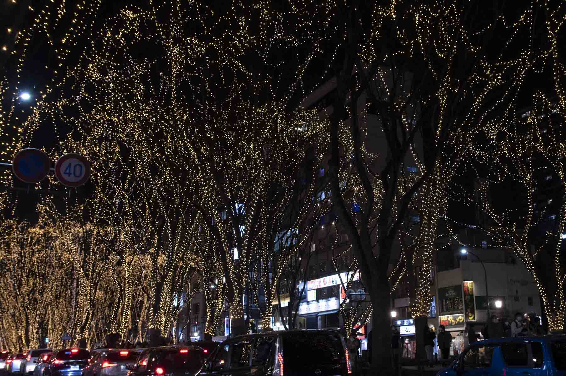 2021年クリスマスのSendai光のページェント（定禅寺通）の写真