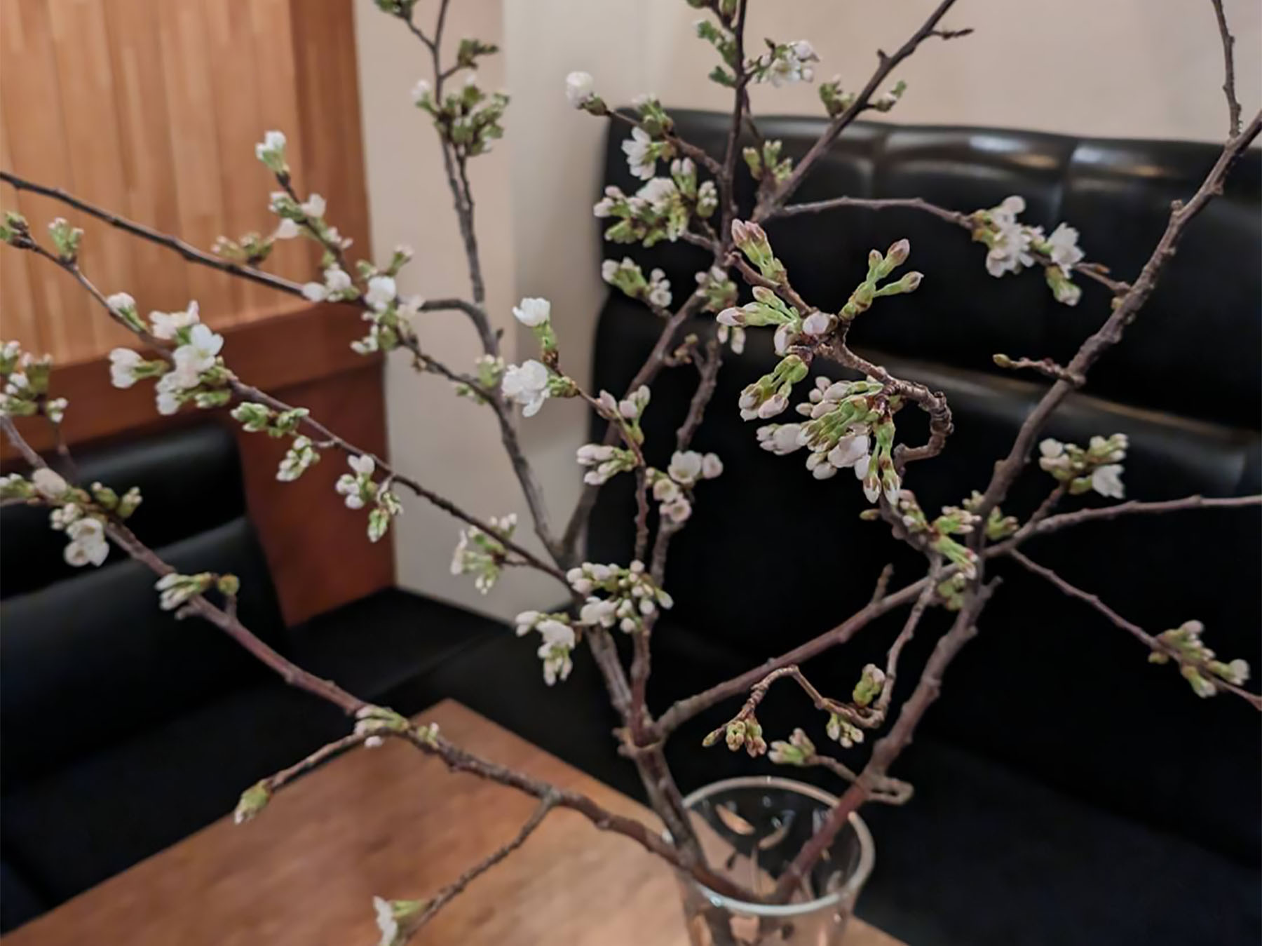 グレースキャビンのボックス席におかれた桜の枝と蕾（つぼみ）の写真